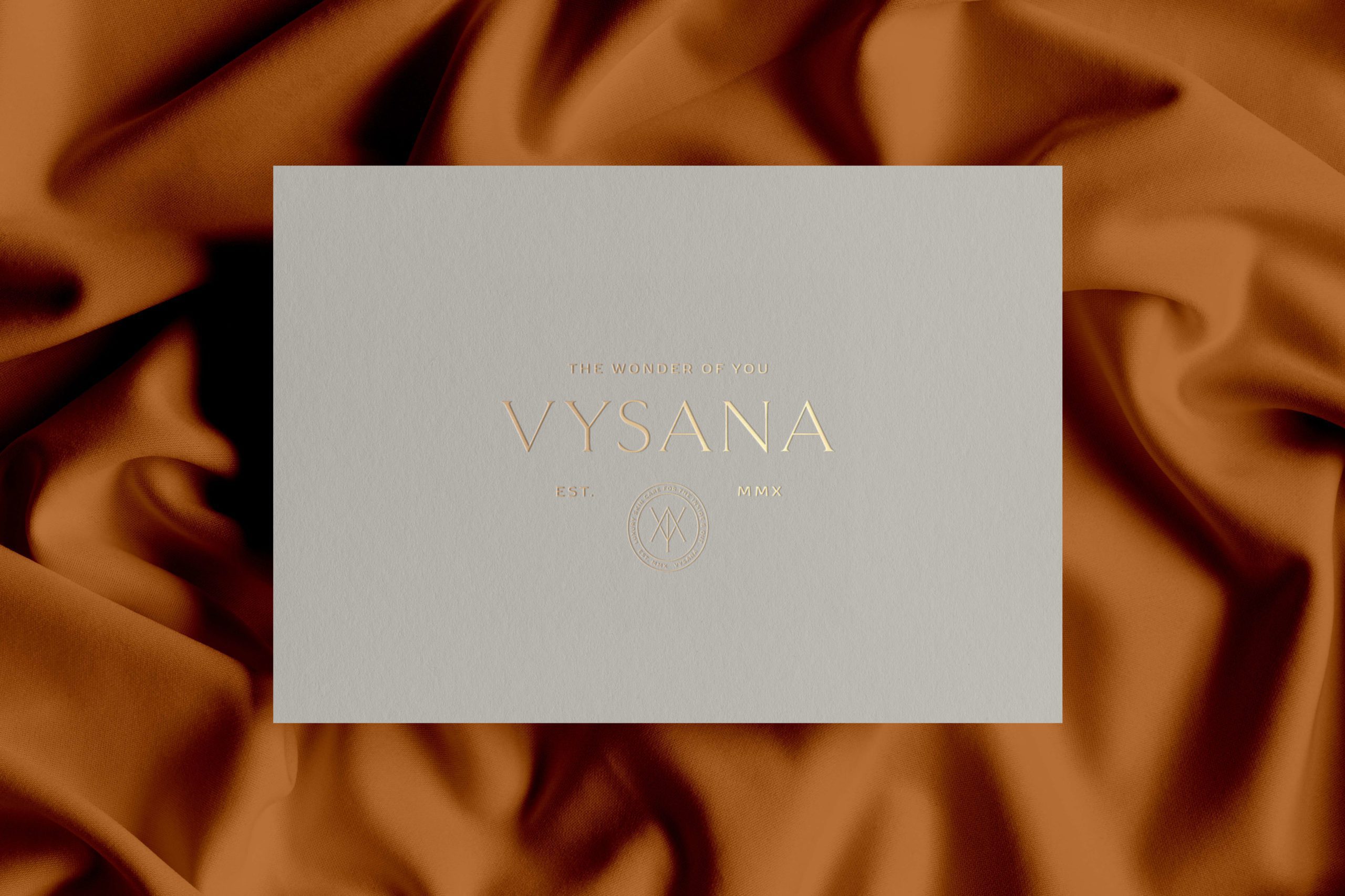Close up details of business cards for Vysana