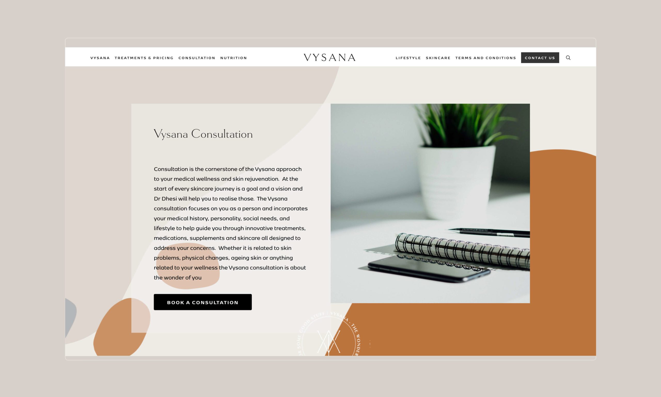 Vysana-Website-Consultation