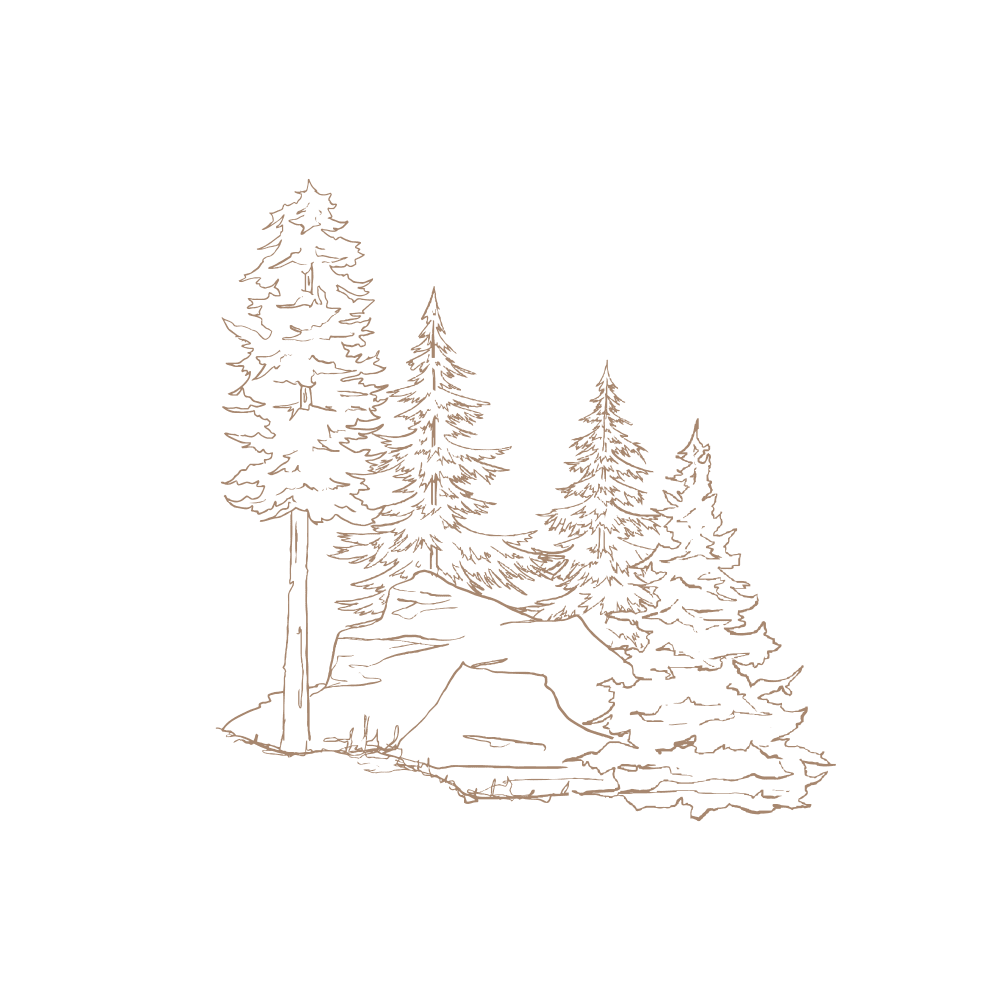 Hand drawn brand illustration of the Hilltop forest