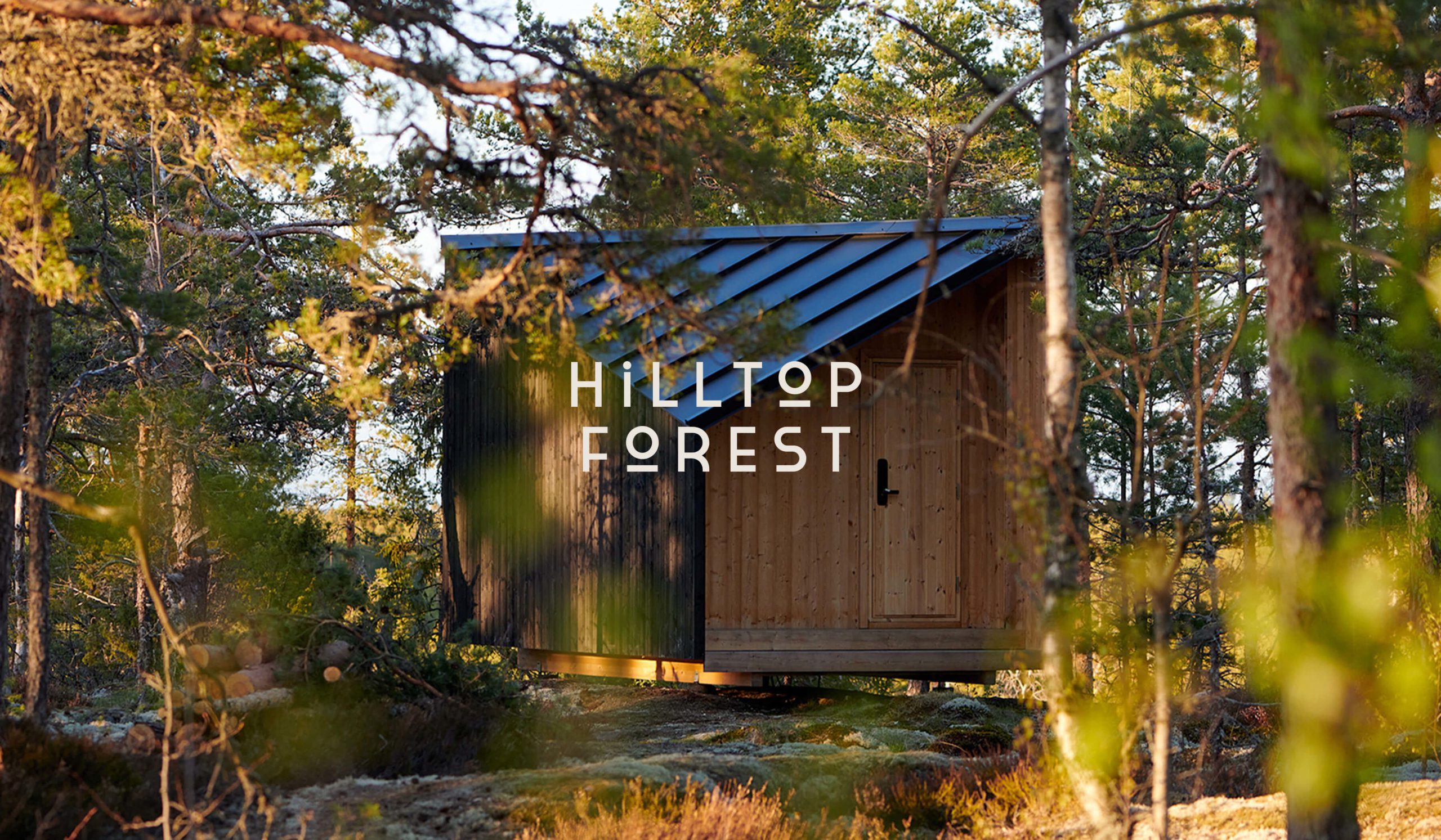 Hilltop Forest retreat logo overlaid cabin image
